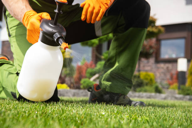 Best Commercial Pest Control Services  in Dilkon, AZ