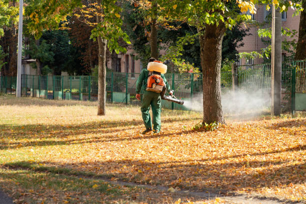 Best Mosquito Control Services  in Dilkon, AZ