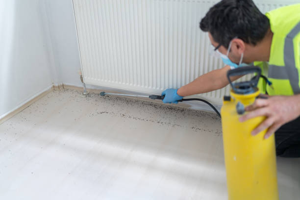 Pest Control Cost in Dilkon, AZ