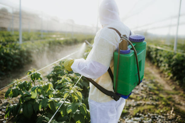 Flea Control Services in Dilkon, AZ